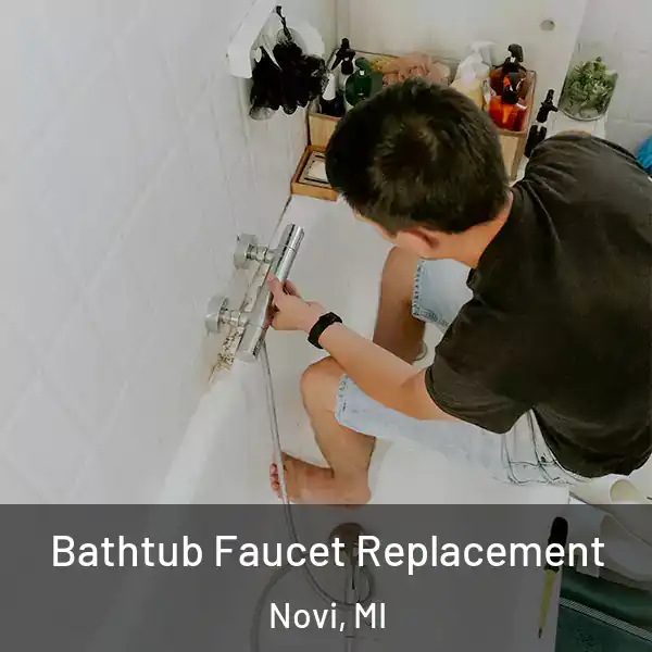  Bathtub Faucet Replacement Novi, MI
