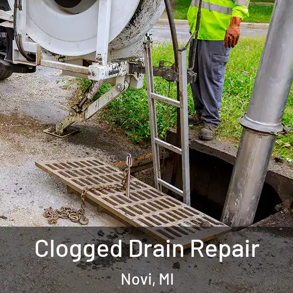  Clogged Drain Repair Novi, MI