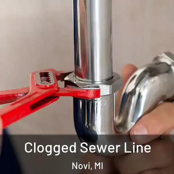  Clogged Sewer Line Novi, MI