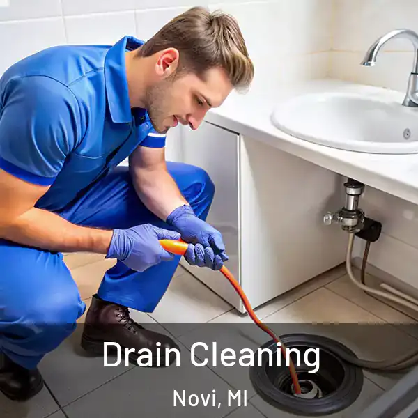  Drain Cleaning Novi, MI