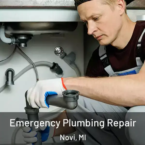  Emergency Plumbing Repair Novi, MI