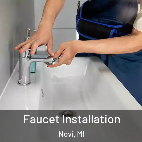  Faucet Installation Novi, MI