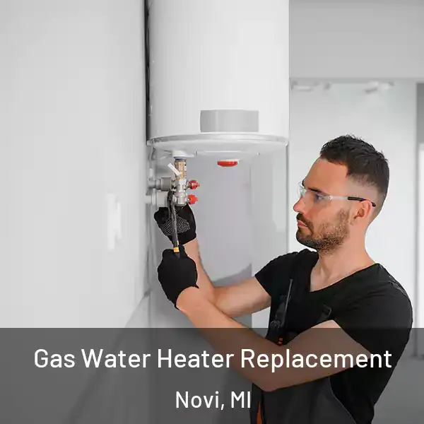  Gas Water Heater Replacement Novi, MI