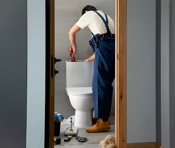 Professional Plumbers for Toilet Bowl Replacement in Novi, MI: Schedule Affordable Toilet Replacement Services With Us