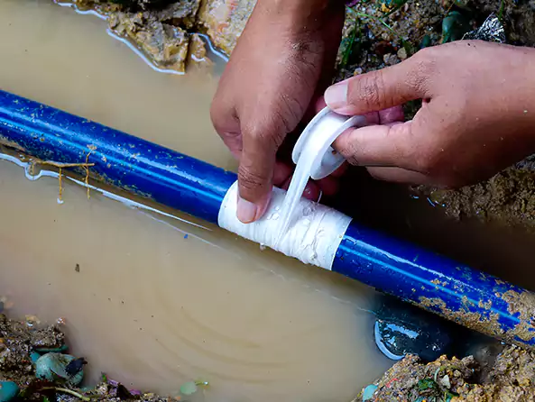  Why Choose Novi Plumber for Leak Detection in Novi, MI?]