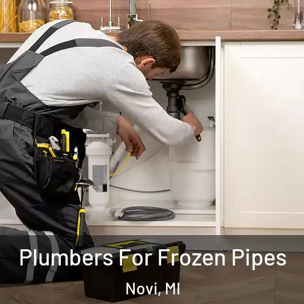  Plumbers For Frozen Pipes Novi, MI