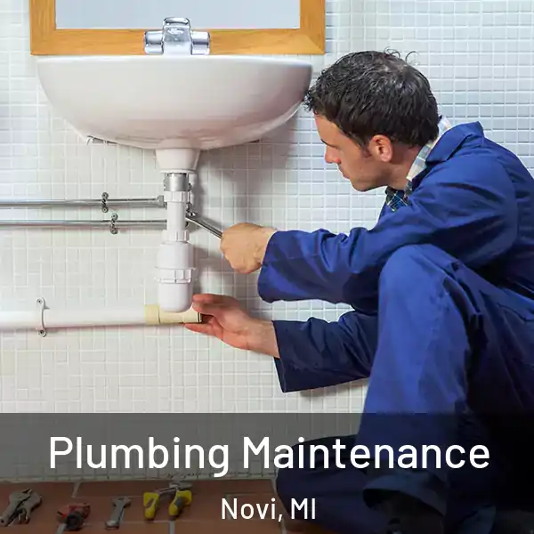  Plumbing Maintenance Novi, MI