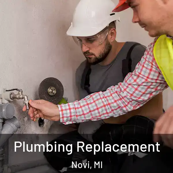  Plumbing Replacement Novi, MI