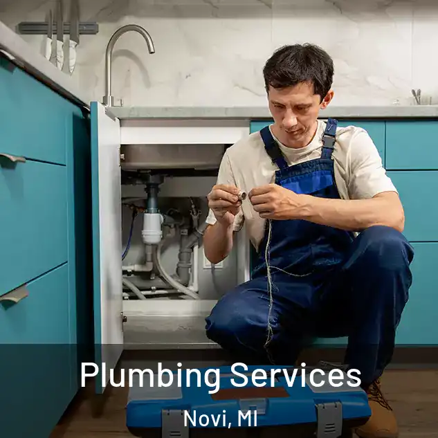 Plumbing Services Novi, MI