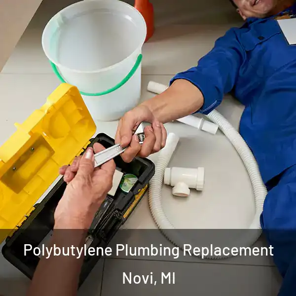  Polybutylene Plumbing Replacement Novi, MI