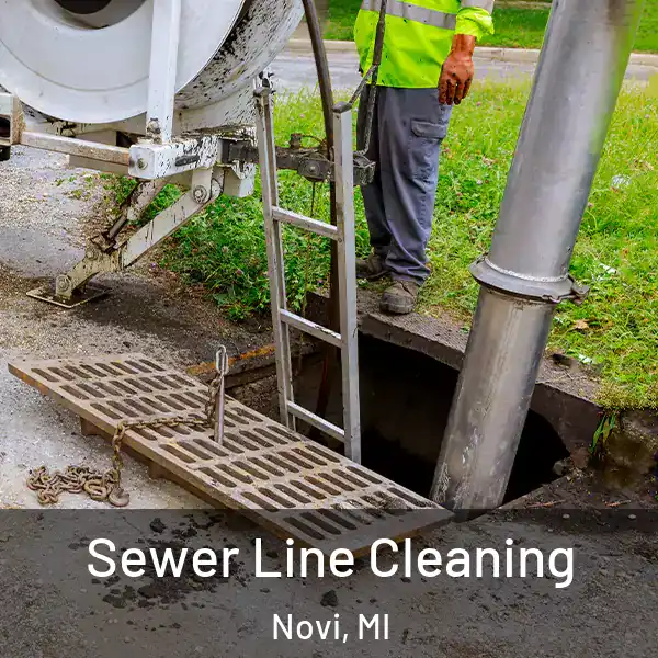  Sewer Line Cleaning Novi, MI