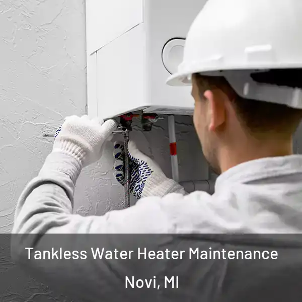  Tankless Water Heater Maintenance Novi, MI
