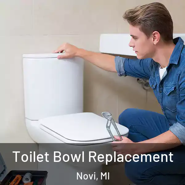  Toilet Bowl Replacement Novi, MI