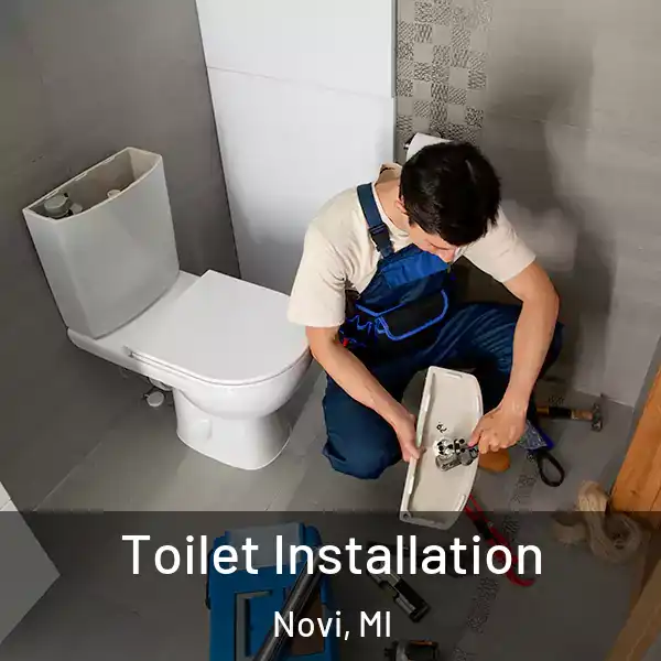  Toilet Installation Novi, MI
