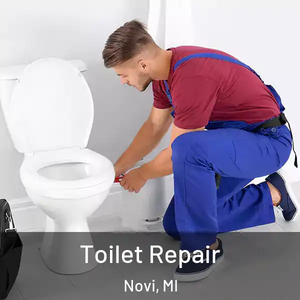  Toilet Repair Novi, MI