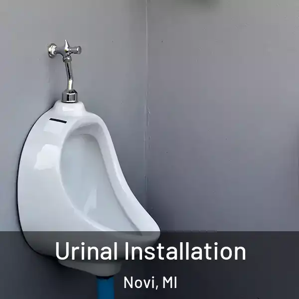  Urinal Installation Novi, MI