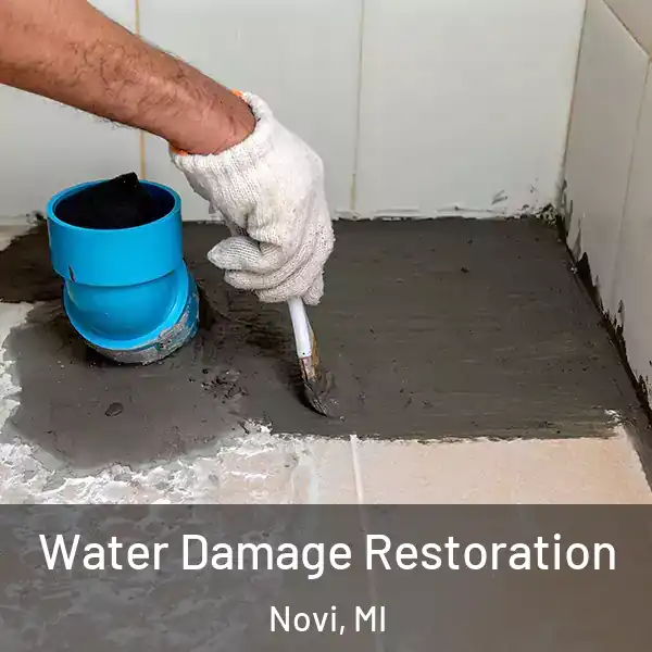 Water Damage Restoration Novi, MI