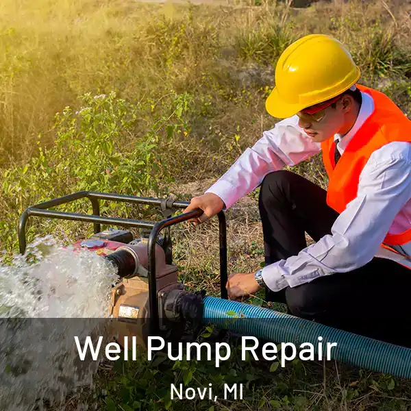  Well Pump Repair Novi, MI